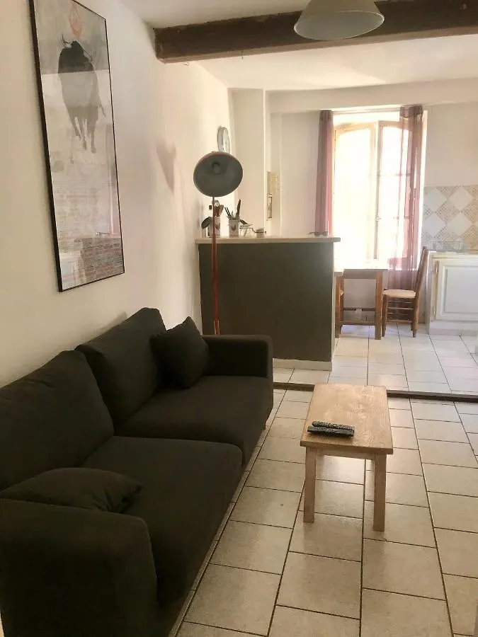 Reveil Vue Sur Les Arenes Apartment Arles France